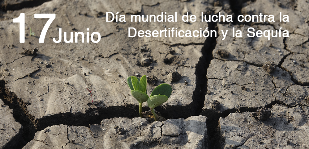 Día Mundial de Lucha contra la Desertificación y la Sequía
